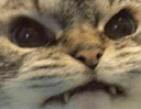 mr Discord emoji