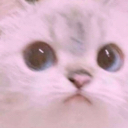 tirstim Discord emoji