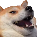 dogkek