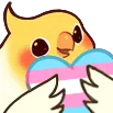 birdtrans