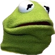 kermitWut