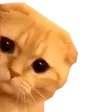 chatiHIDE