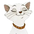 catnod