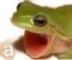 a_