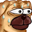 centau6MonkaS centau6MonkaS