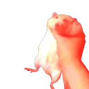 RatShakeS RatShakeS