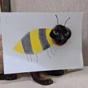 beecat