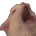 MIDNIGHTSCREAM