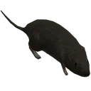 halo3rat