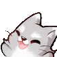 confetticat