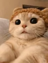 eyes