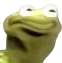 MadKermit