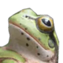 phrog
