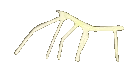 getstickbugged getstickbugged