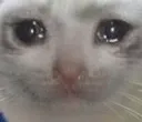 bruh