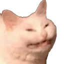 ech