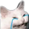 Sad Cat sad_cat Discord Emoji