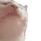 CatJam