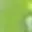 greenbear1
