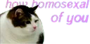 gay