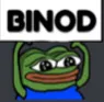 zzz_bino