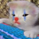 catclown