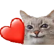 lovest lovest