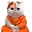 Flantic_baba_bhencho