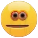 sus2