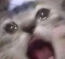 tw_nooo Discord emoji