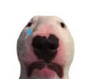 sad_walter Discord Emoji