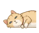 Cat Flop Discord Emoji