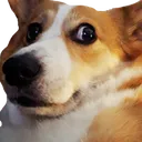 yikesmoll