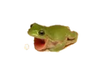 emoji_12