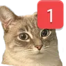 pingCat