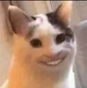 hihi
