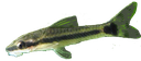 Oto Discord emoji