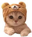 Sean Sean