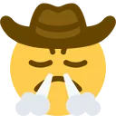 cowboy_triumph