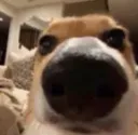 laooo