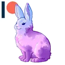 sunrisebunny