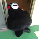 yawns