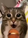 emoji_15 Discord emoji