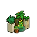 tw_plants