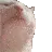 CatVibe CatVibe
