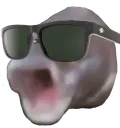 dookiefishcool dookiefishcool