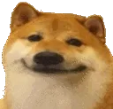 ShibaNo