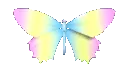 aedgy_butterfly2 aedgy_butterfly2
