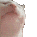 x_CatVibe Discord Emoji