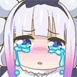 kardaxCry kardaxCry